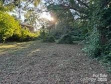 2411 Carmine St, Charlotte, NC 28206 - photo 3