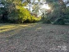 2411 Carmine St, Charlotte, NC 28206 - photo 4