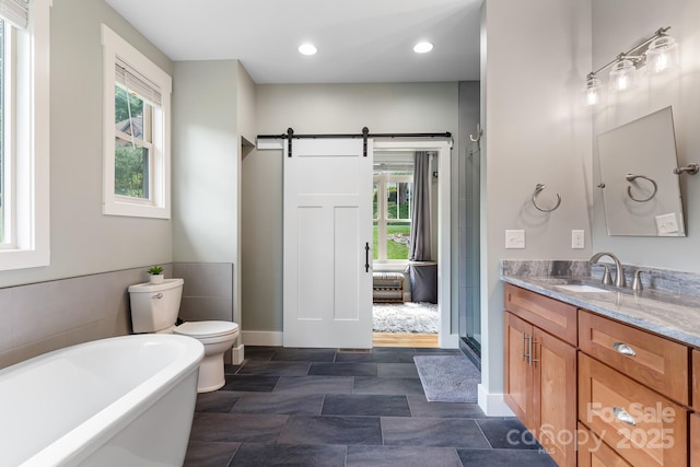 19 Carrolls Place Ct, Mills River, NC 28759 - photo 10
