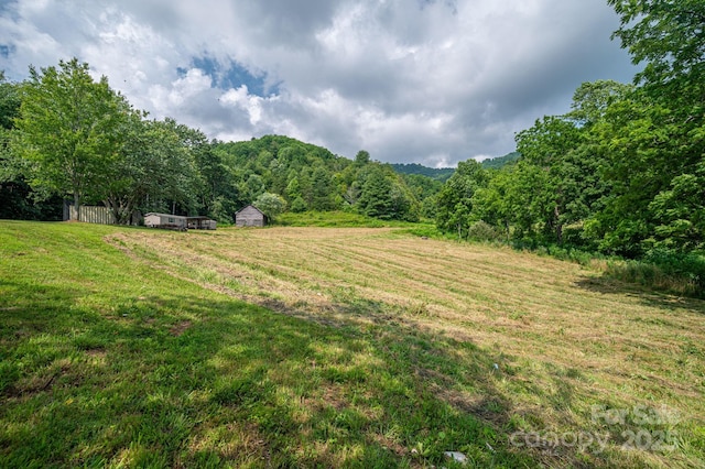 356 Joe Payne Rd, Marshall, NC 28753 - photo 29