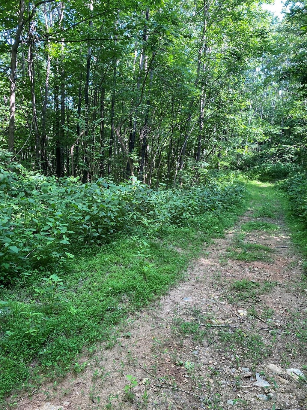 0 Cherry Hl Unit 202, Mill Spring, NC 28756 - photo 2