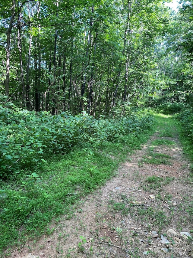 0 Cherry Hl Unit 202, Mill Spring, NC 28756 - photo 2
