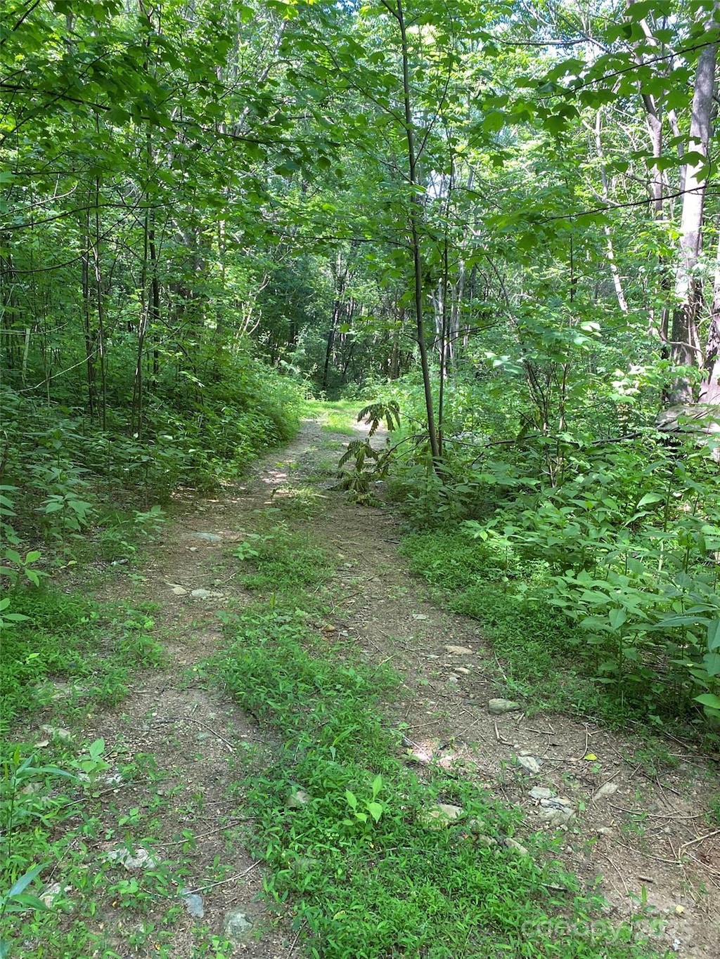 0 Cherry Hl Unit 202, Mill Spring, NC 28756 - photo 3