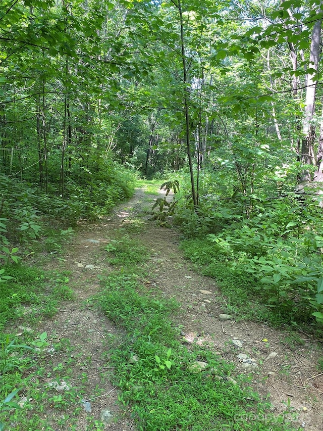0 Cherry Hl Unit 202, Mill Spring, NC 28756 - photo 3