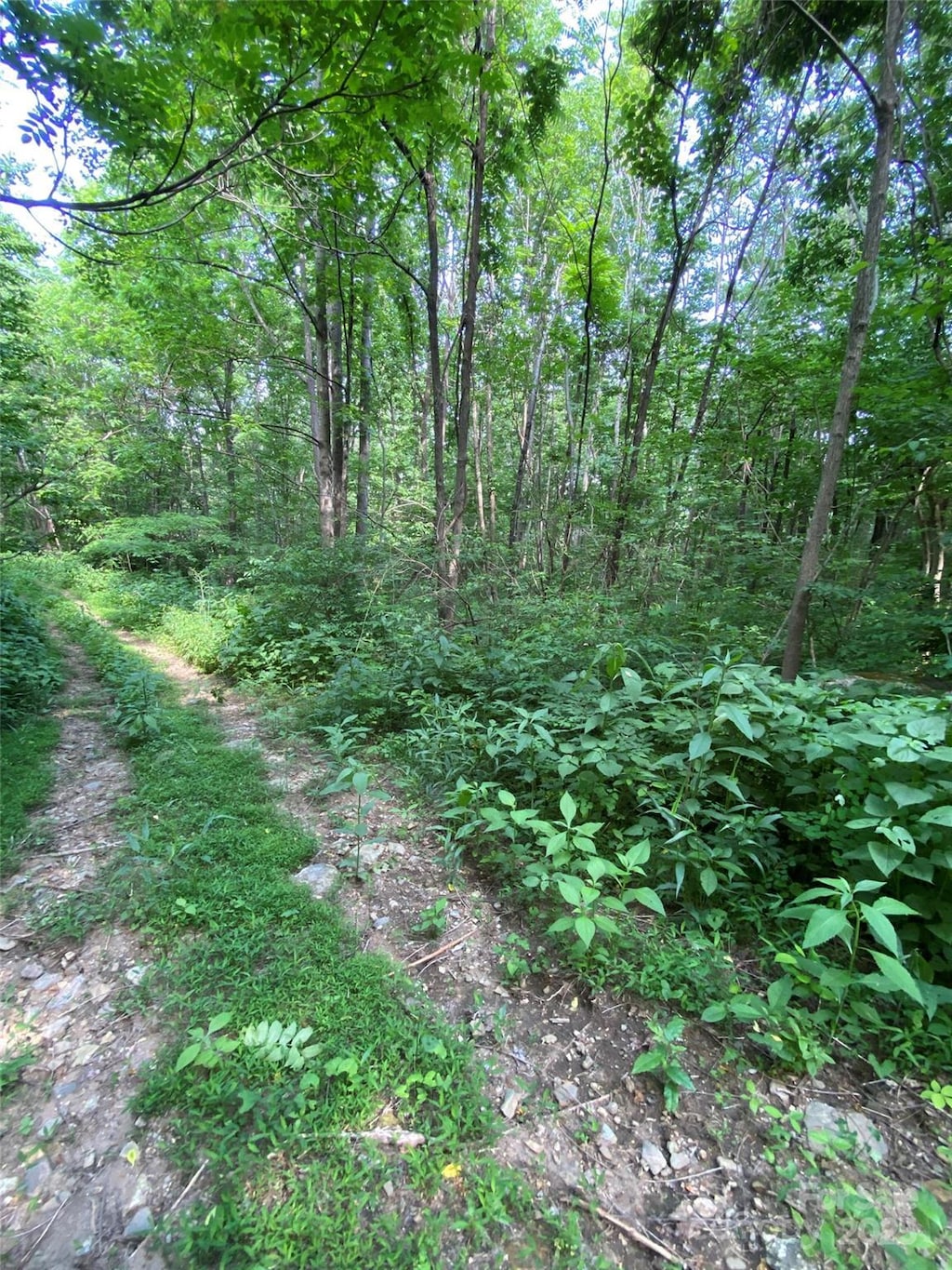 0 Cherry Hl Unit 202, Mill Spring, NC 28756 - photo 4
