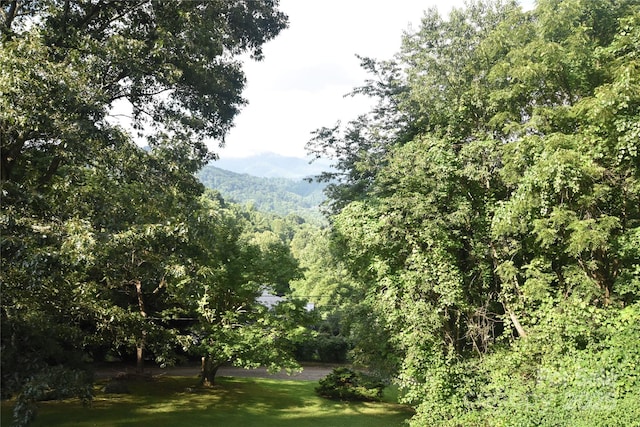 501 Locust Grove Dr, Waynesville, NC 28785 - photo 9