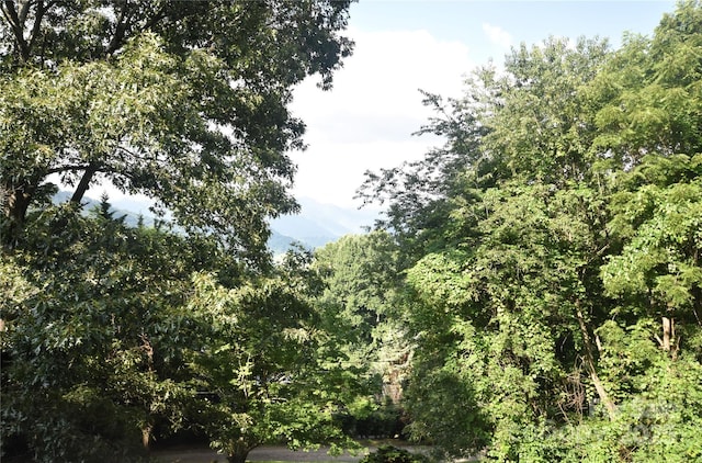 501 Locust Grove Dr, Waynesville, NC 28785 - photo 10