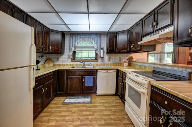 501 Locust Grove Dr, Waynesville, NC 28785 - photo 20