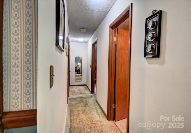 501 Locust Grove Dr, Waynesville, NC 28785 - photo 25
