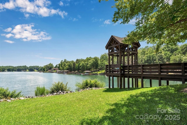 12017 Baywoods Dr, Tega Cay, SC 29708 - photo 47
