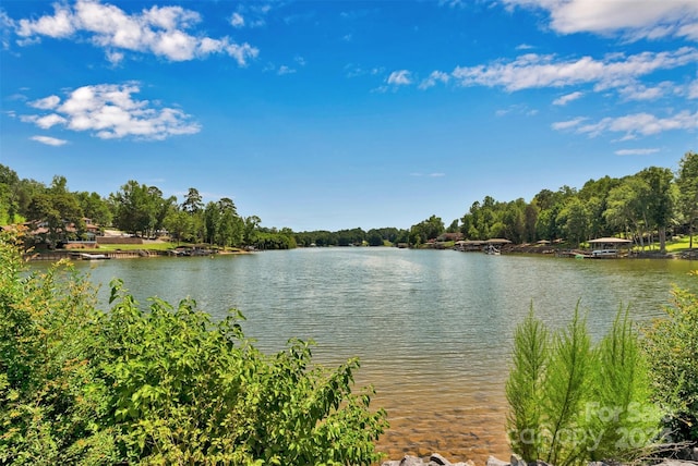 12017 Baywoods Dr, Tega Cay, SC 29708 - photo 48