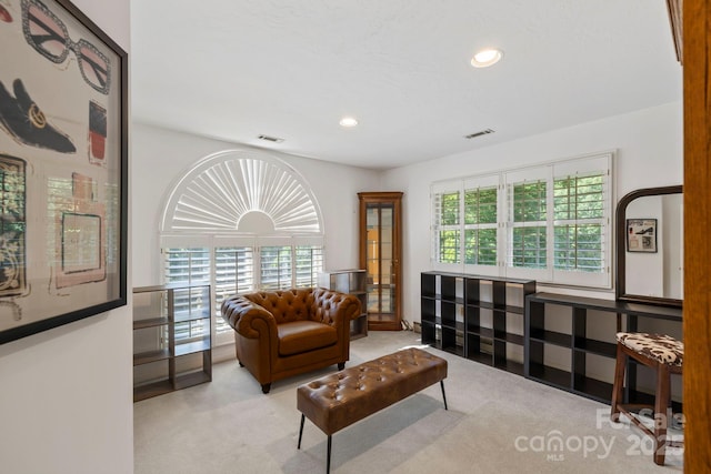 652 Avery Creek Rd, Arden, NC 28704 - photo 23