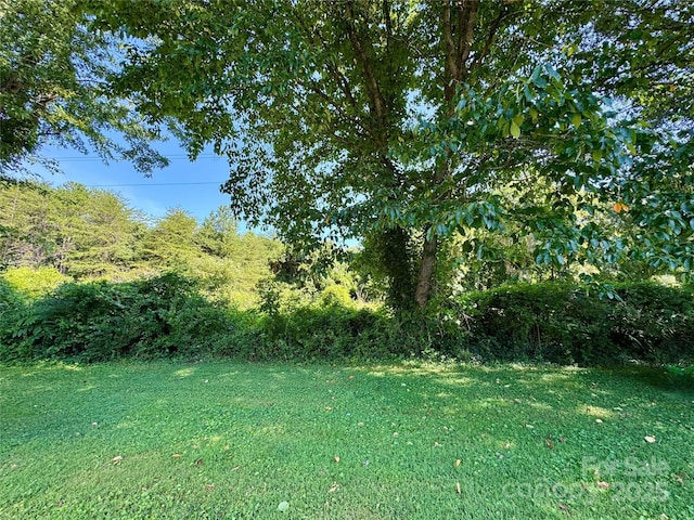 2500 Judith Ave, Gastonia, NC 28054 - photo 24