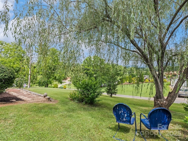 32 Perseverance Dr, Canton, NC 28716 - photo 6