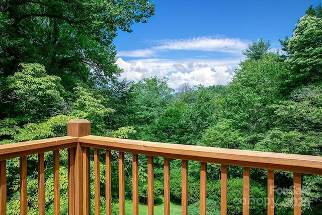 1315 Glen Cannon Dr, Pisgah Forest, NC 28768 - photo 38