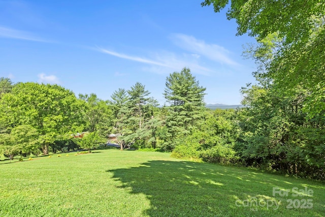 85 Rock Rest Rd, Hendersonville, NC 28739 - photo 40