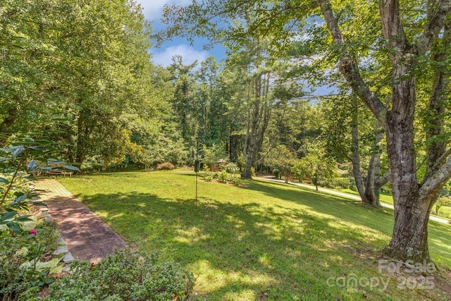 85 Rock Rest Rd, Hendersonville, NC 28739 - photo 46