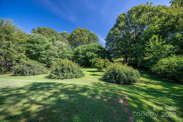 411 Arlington St, Forest City, NC 28043 - photo 30