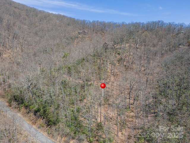 23 Winding Poplar Rd Unit 912, Black Mountain, NC 28711 - photo 2