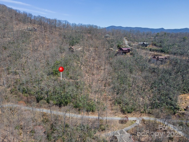 23 Winding Poplar Rd Unit 912, Black Mountain, NC 28711 - photo 3