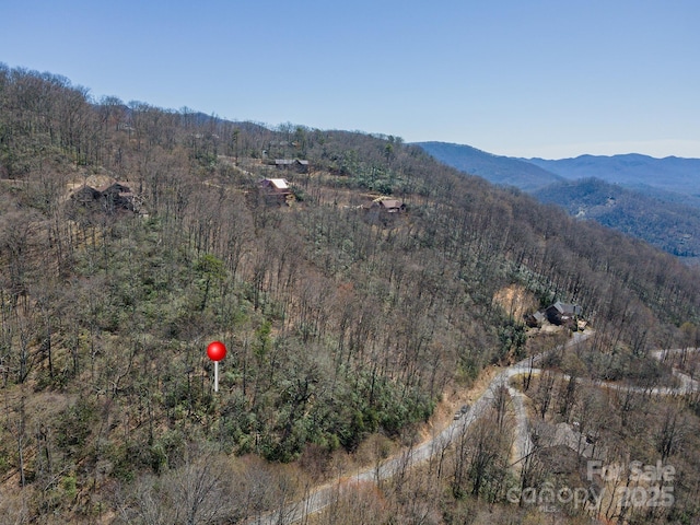 23 Winding Poplar Rd Unit 912, Black Mountain, NC 28711 - photo 4