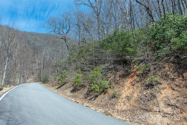 23 Winding Poplar Rd Unit 912, Black Mountain, NC 28711 - photo 5