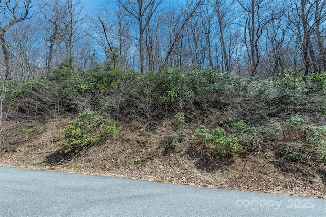 23 Winding Poplar Rd Unit 912, Black Mountain, NC 28711 - photo 6