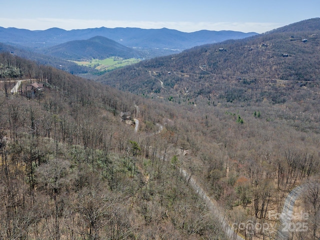 23 Winding Poplar Rd Unit 912, Black Mountain, NC 28711 - photo 7