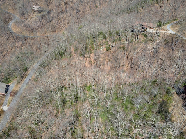23 Winding Poplar Rd Unit 912, Black Mountain, NC 28711 - photo 8