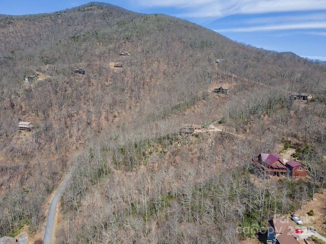 23 Winding Poplar Rd Unit 912, Black Mountain, NC 28711 - photo 9