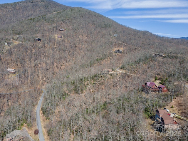 23 Winding Poplar Rd Unit 912, Black Mountain, NC 28711 - photo 10