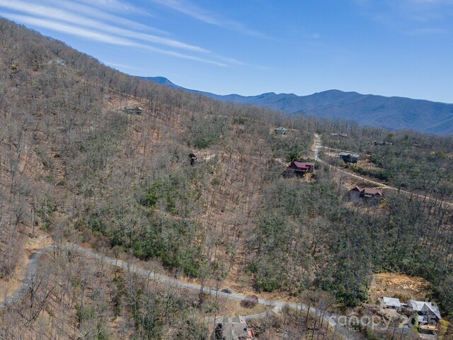 23 Winding Poplar Rd Unit 912, Black Mountain, NC 28711 - photo 11