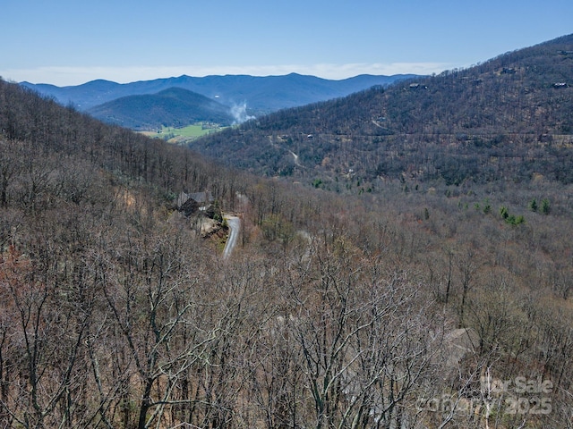 23 Winding Poplar Rd Unit 912, Black Mountain, NC 28711 - photo 12