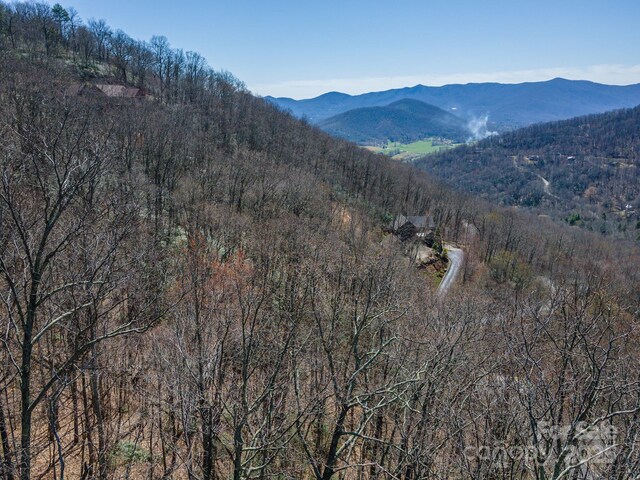 23 Winding Poplar Rd Unit 912, Black Mountain, NC 28711 - photo 13