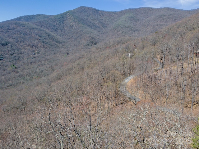23 Winding Poplar Rd Unit 912, Black Mountain, NC 28711 - photo 14
