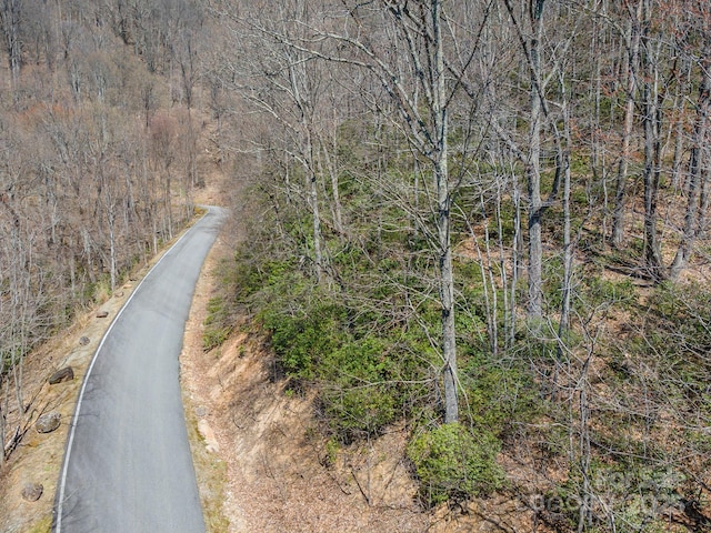 23 Winding Poplar Rd Unit 912, Black Mountain, NC 28711 - photo 15