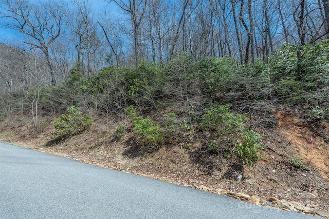 23 Winding Poplar Rd Unit 912, Black Mountain, NC 28711 - photo 16