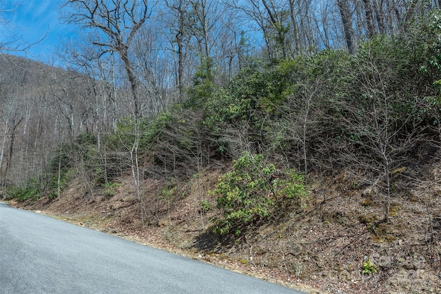 23 Winding Poplar Rd Unit 912, Black Mountain, NC 28711 - photo 17