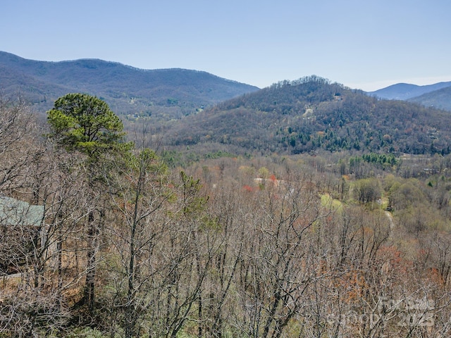 23 Winding Poplar Rd Unit 912, Black Mountain, NC 28711 - photo 18