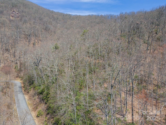 23 Winding Poplar Rd Unit 912, Black Mountain, NC 28711 - photo 19