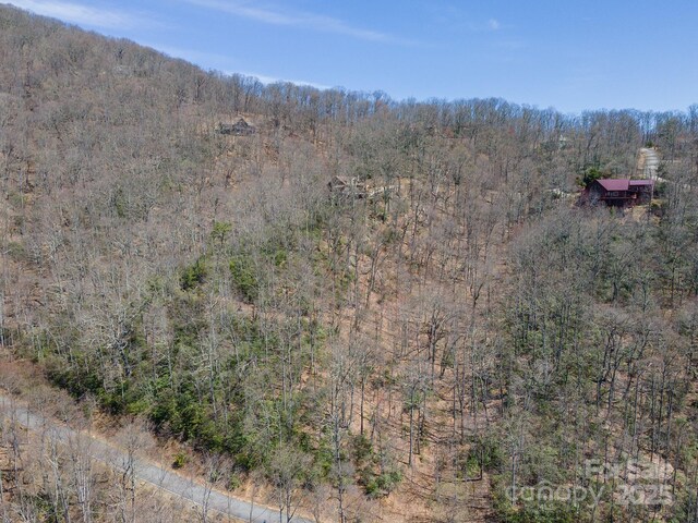 23 Winding Poplar Rd Unit 912, Black Mountain, NC 28711 - photo 20