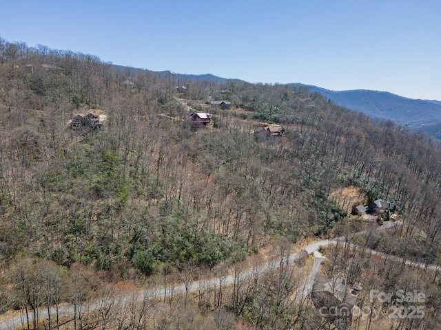 23 Winding Poplar Rd Unit 912, Black Mountain, NC 28711 - photo 21