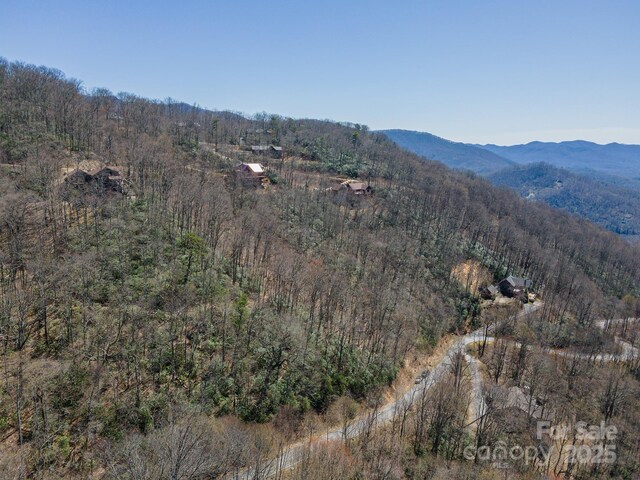 23 Winding Poplar Rd Unit 912, Black Mountain, NC 28711 - photo 22