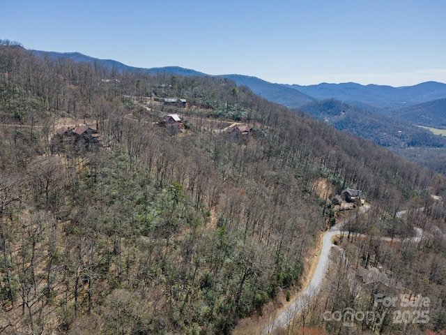 23 Winding Poplar Rd Unit 912, Black Mountain, NC 28711 - photo 23