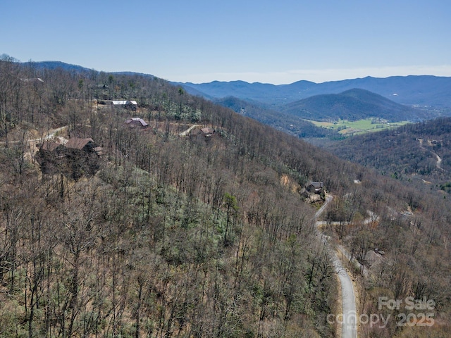 23 Winding Poplar Rd Unit 912, Black Mountain, NC 28711 - photo 24