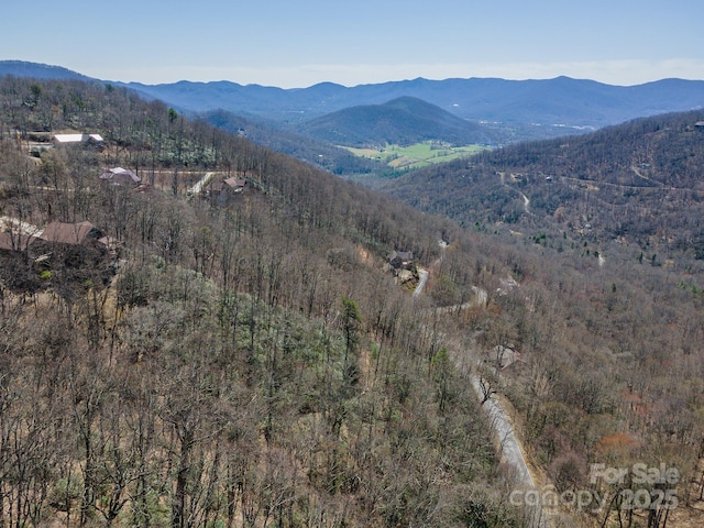 23 Winding Poplar Rd Unit 912, Black Mountain, NC 28711 - photo 25