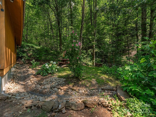 160 Tracy Pl, Clyde, NC 28721 - photo 20