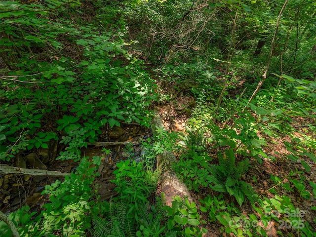 160 Tracy Pl, Clyde, NC 28721 - photo 22