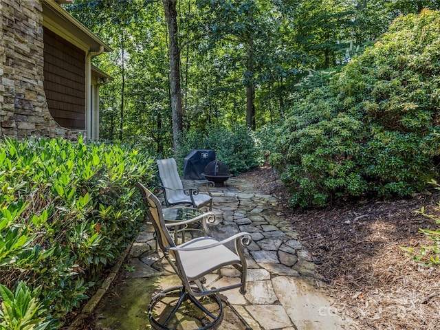 206 Summershade Ct, Asheville, NC 28806 - photo 9