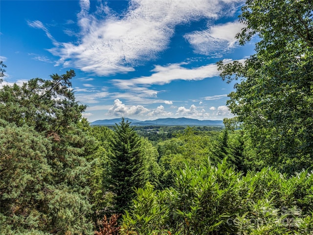 206 Summershade Ct, Asheville, NC 28806 - photo 44
